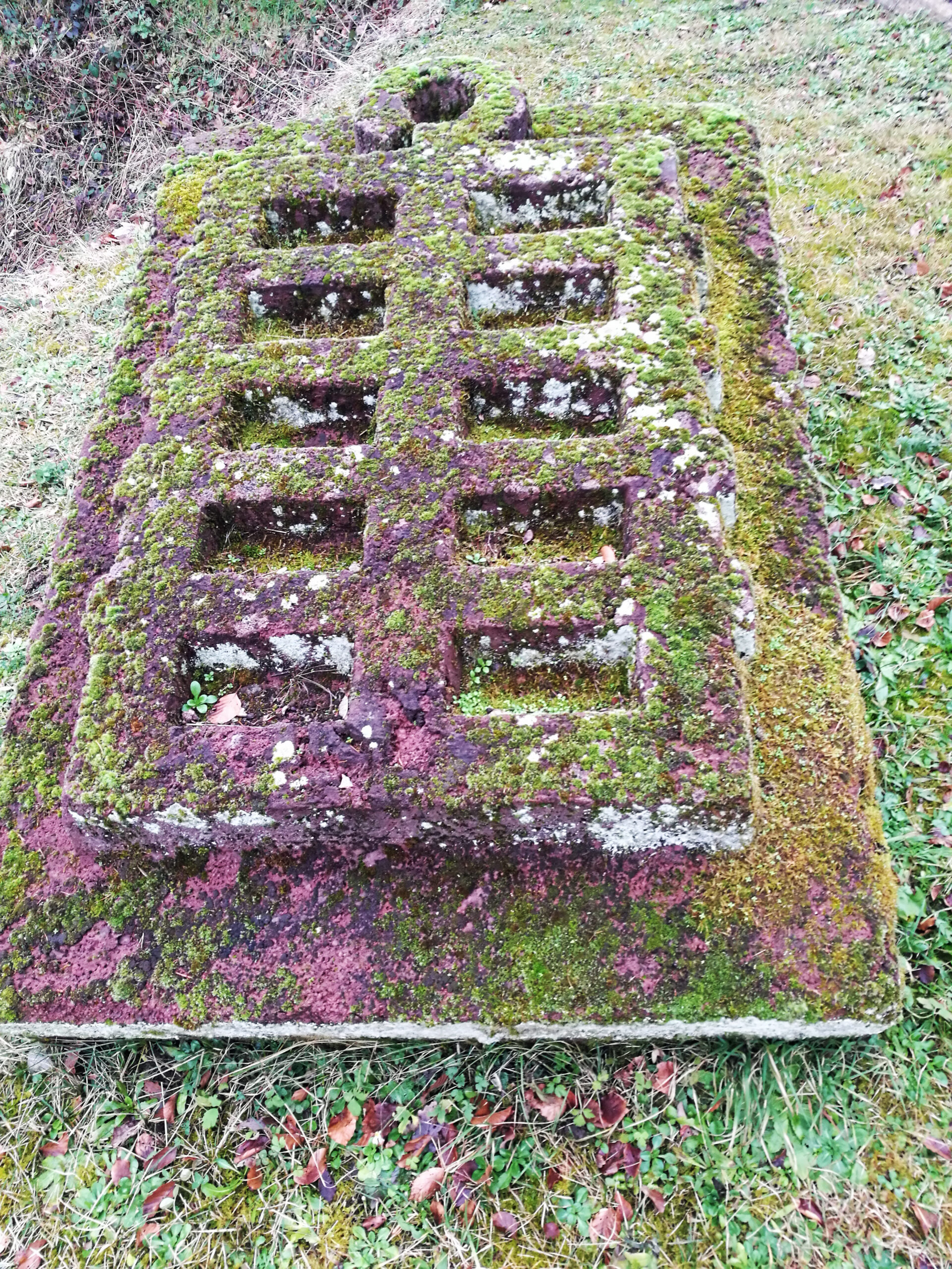 Wappen von Bülach, überwachsen mit Moos